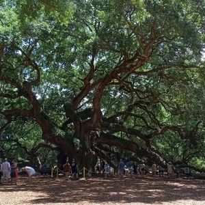 Meet your Posher, Patty